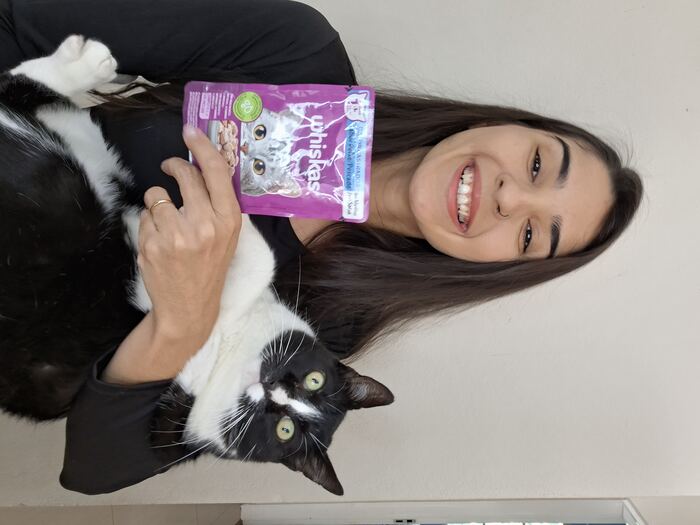 Review de sachê Whiskas com gato